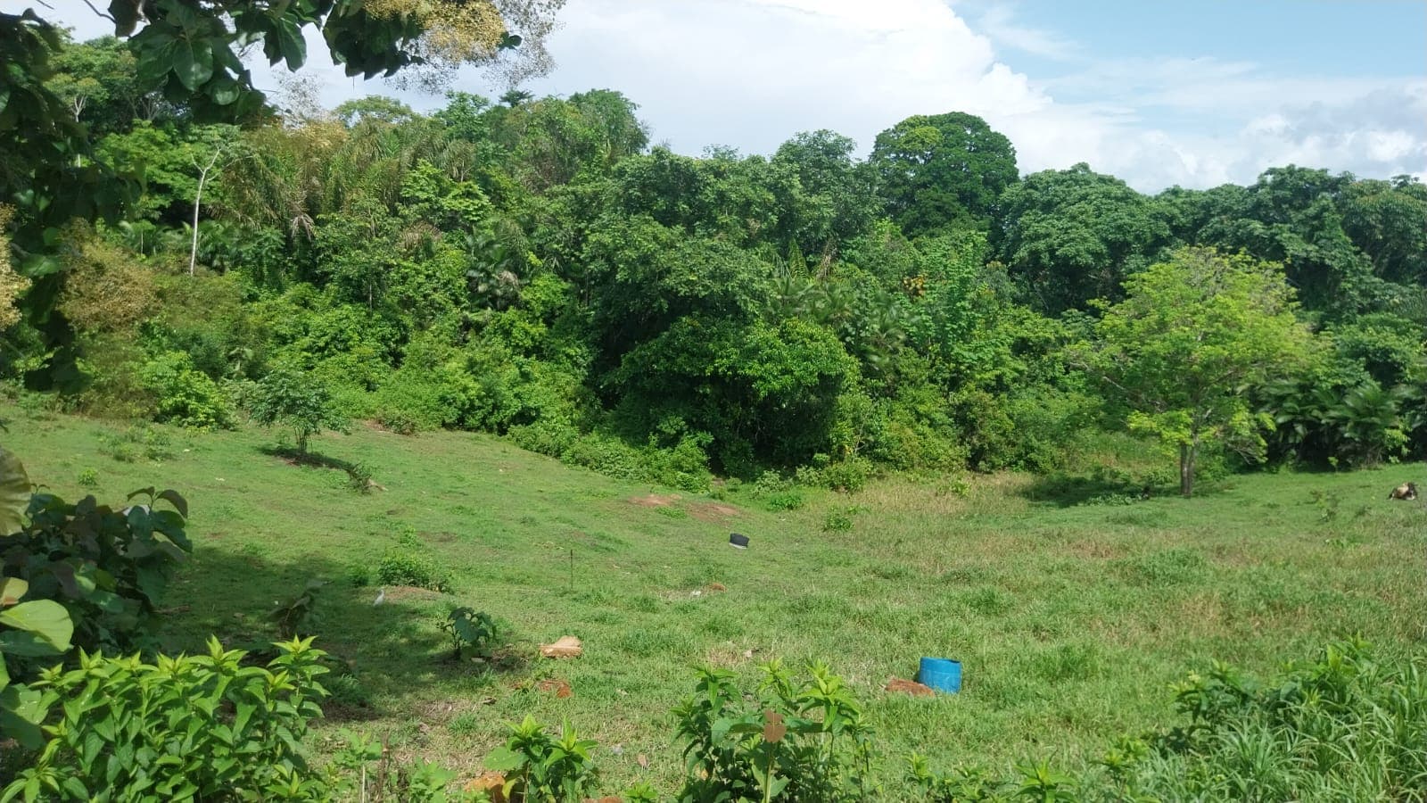 FOR SALE – Salazar Trace, Point Fortin, Point Fortin