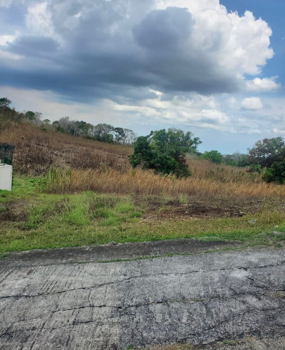 Prime Land for Sale – Lot 24A, Bishop Ave, Phillipine, Phillipine