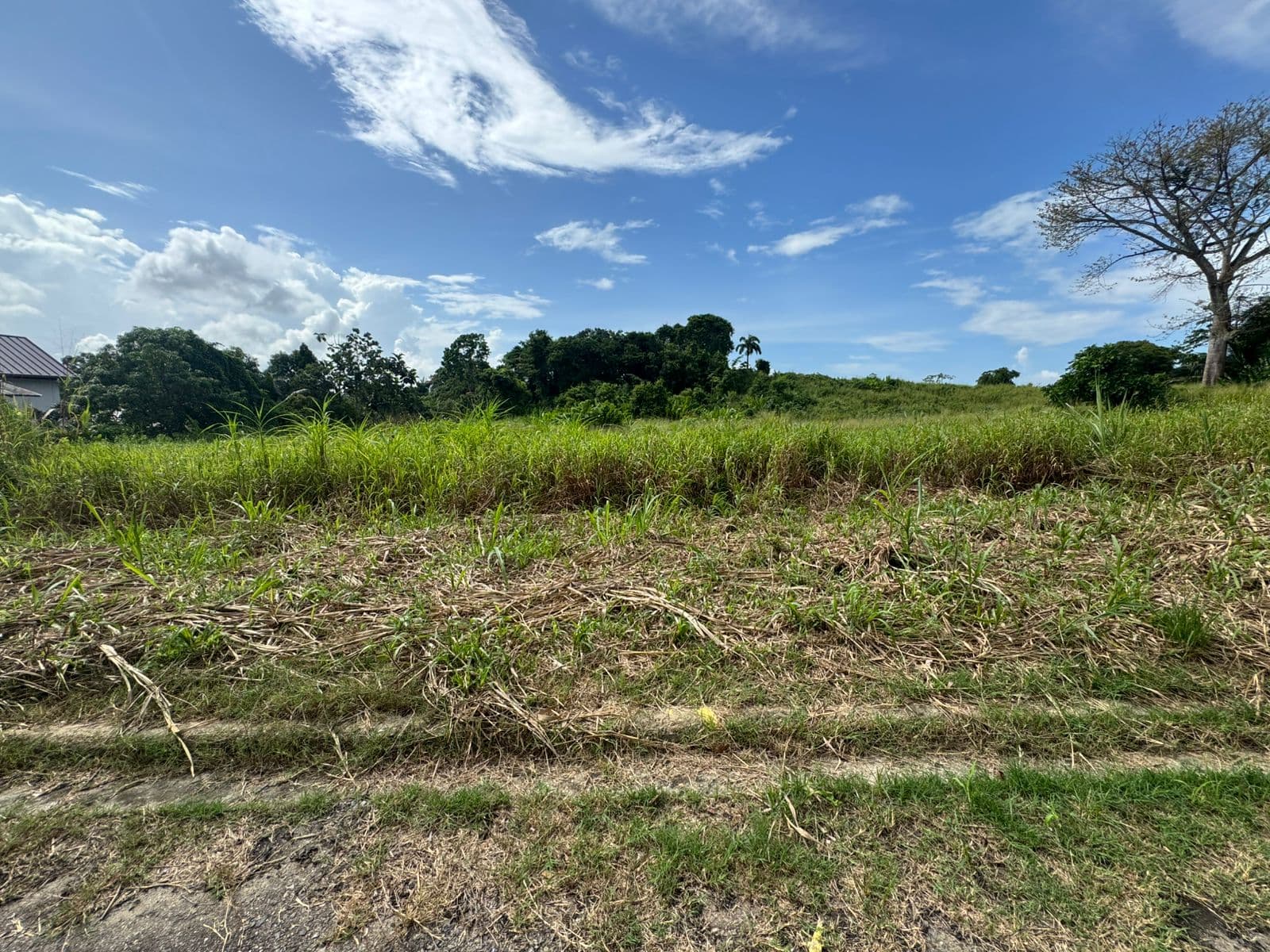 Aripero Land for Sale, Aripero