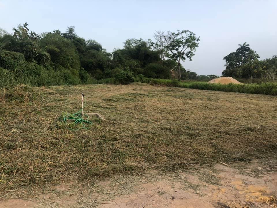 Rambert Land – Sirju Trace, Duncan Village