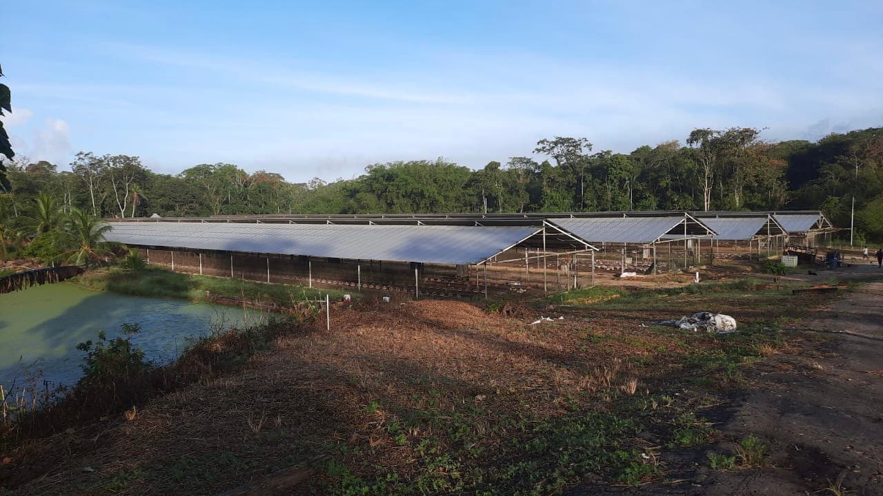 Poultry Farm for Sale, Tableland